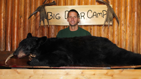 fall black bear hunts at big bear camp